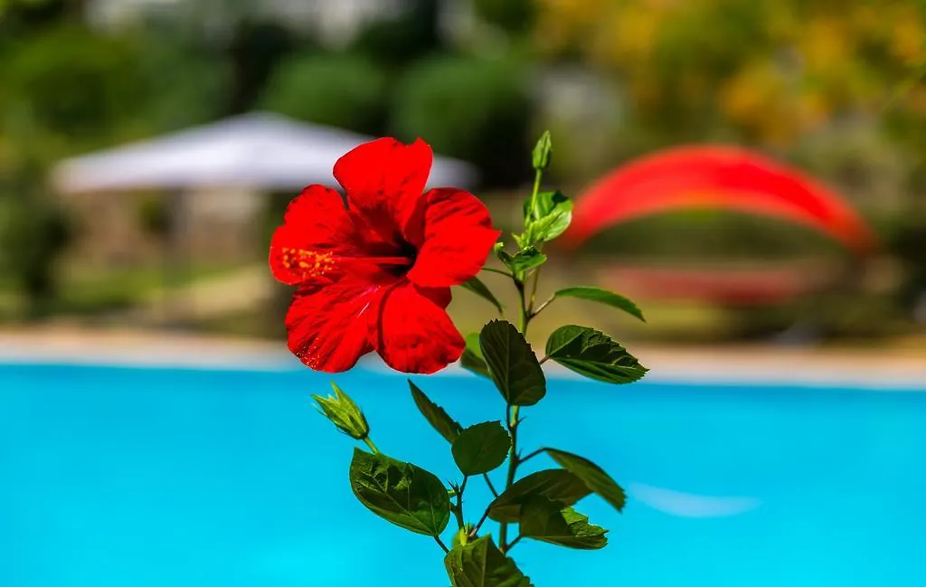 Marmaris Holiday Villas Turkey