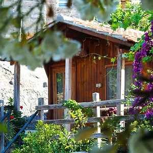 Homestay Agora, Kapikiri
