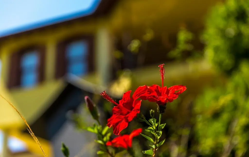 Marmaris Holiday Villas